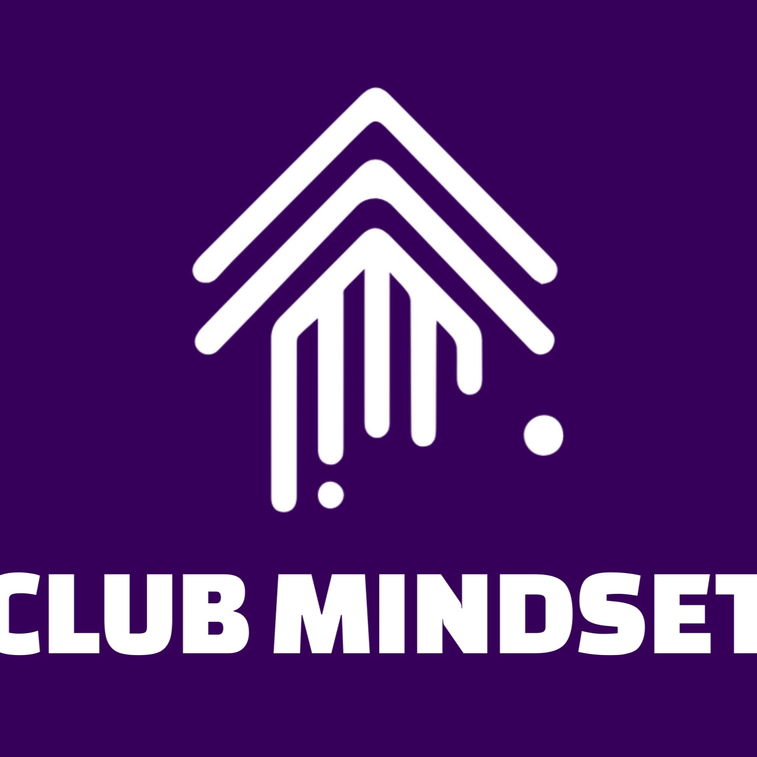 MINDSET SESSIE THUIS - 60 min