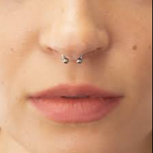 Septum