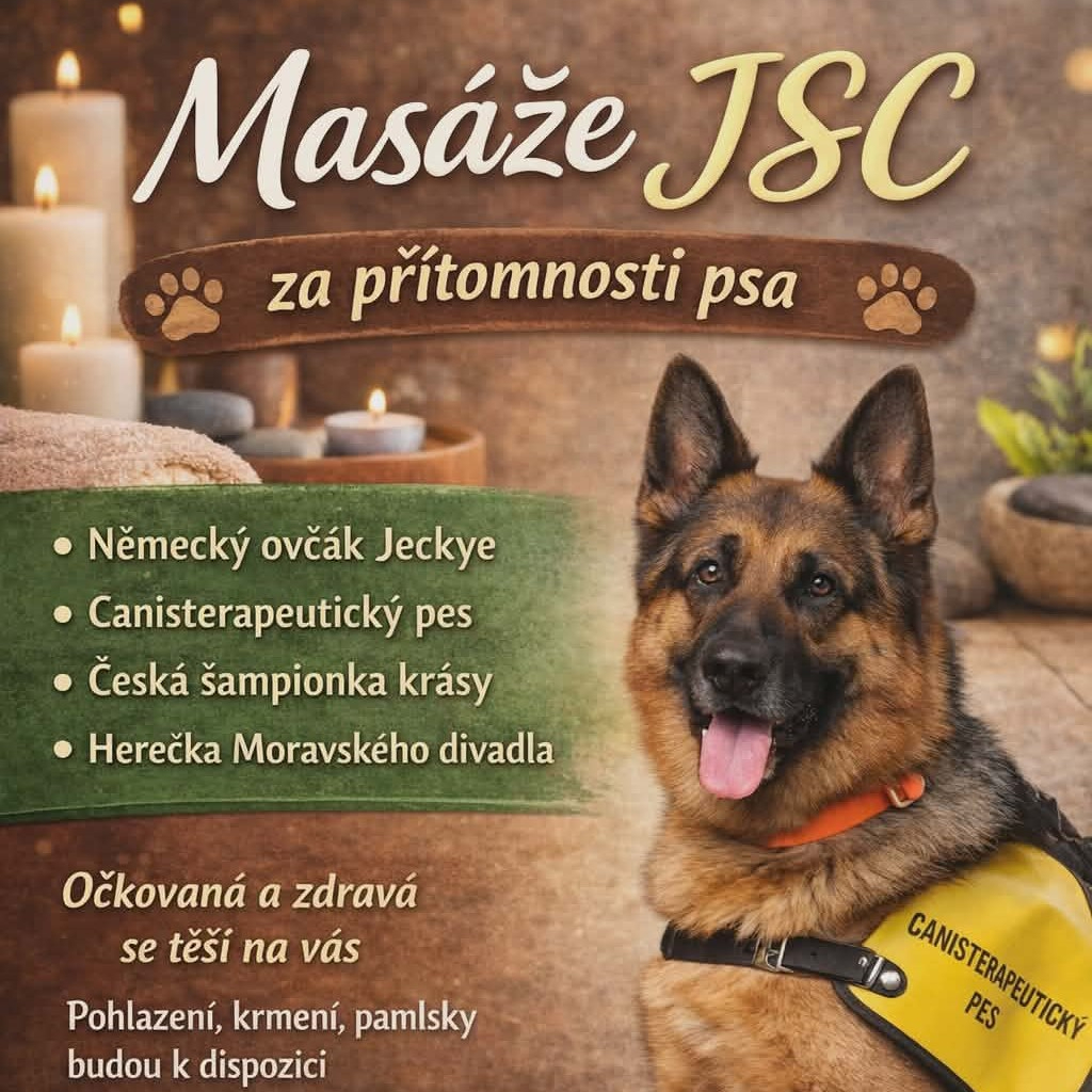 Masáž za přítomnosti psa 60 minut