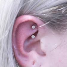 Rook