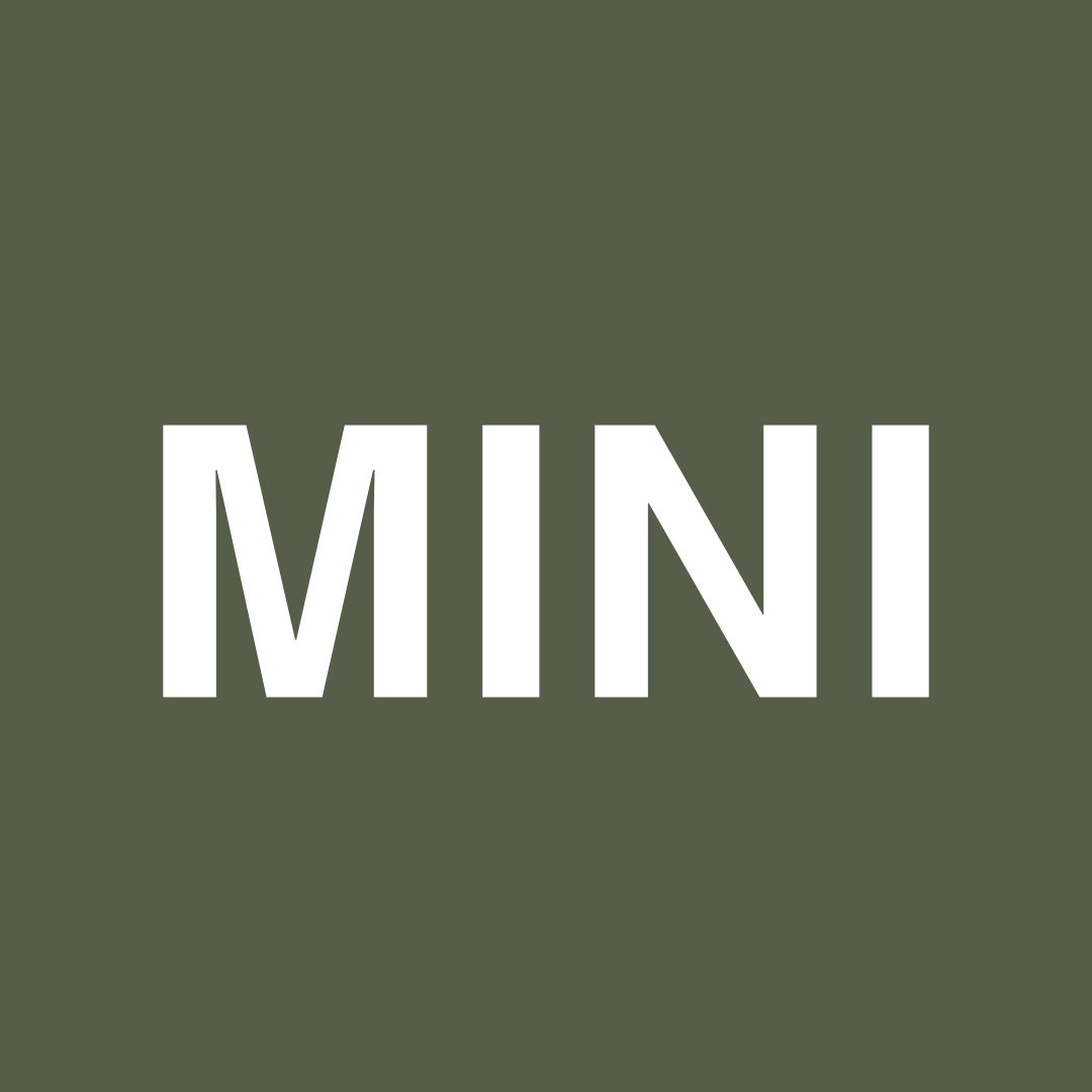 Vianočné fotenie Mini