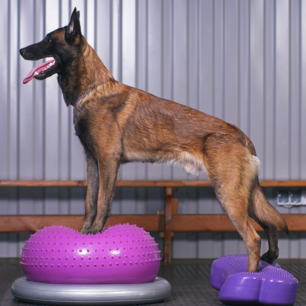 Komplexní fyzioterapie