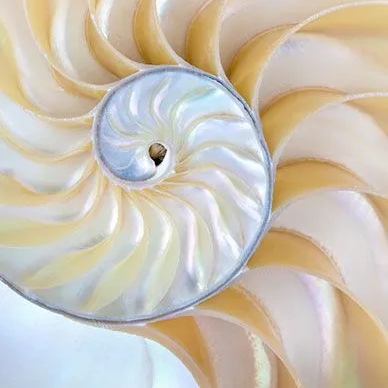 contact Hypnose régressive