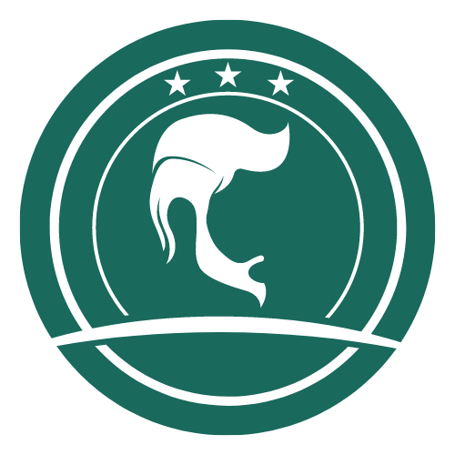 Taglio + Shampoo + Rituel