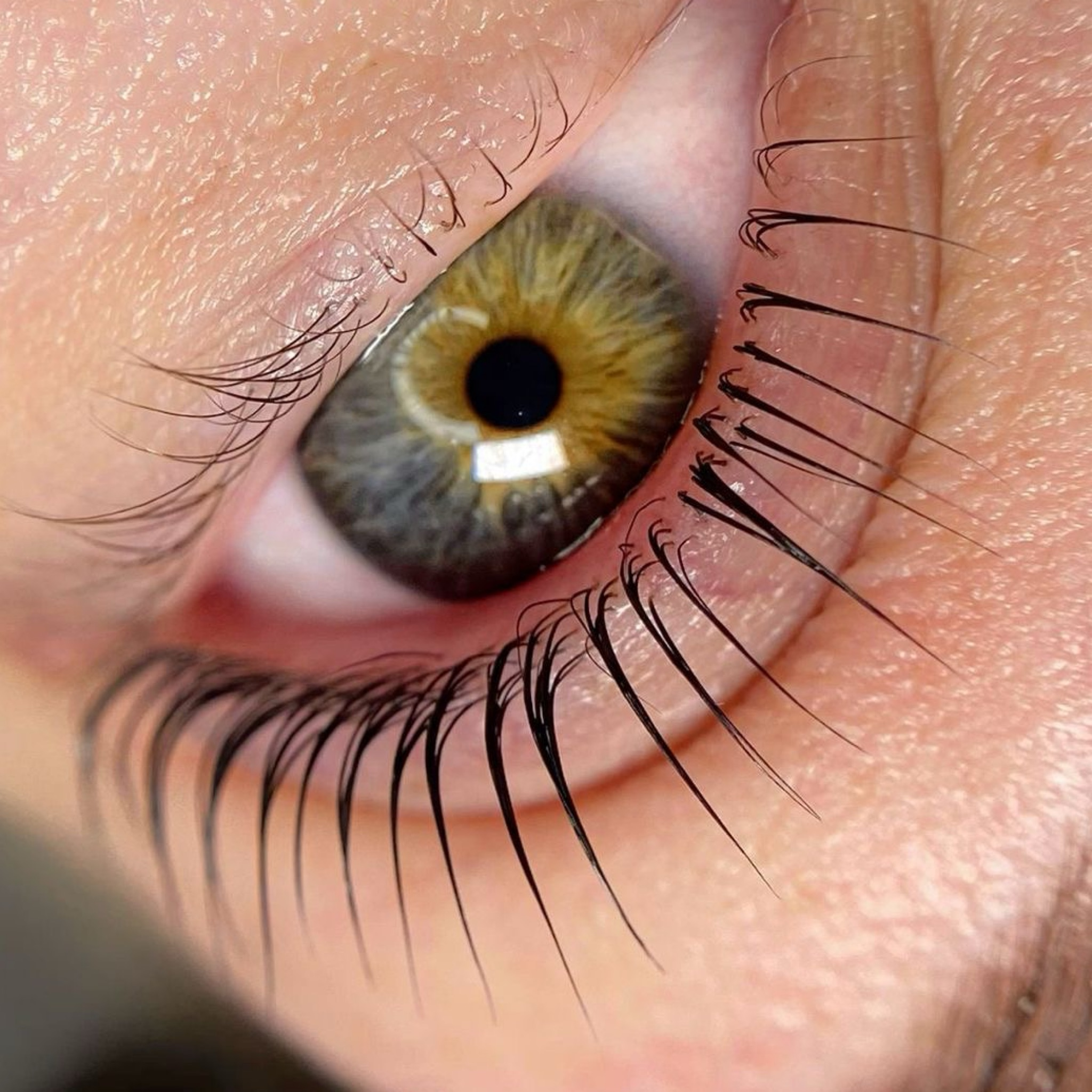 Lash Lifting & Botox Ritual