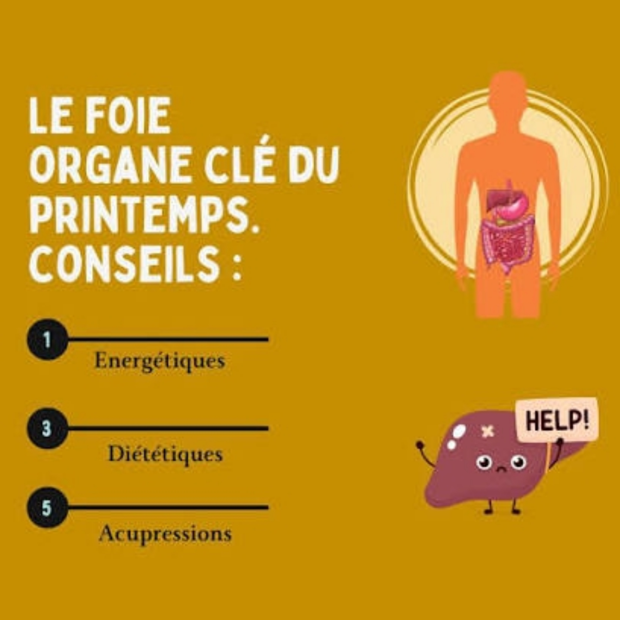 Atelier printemps . Prendre soin de son foie.