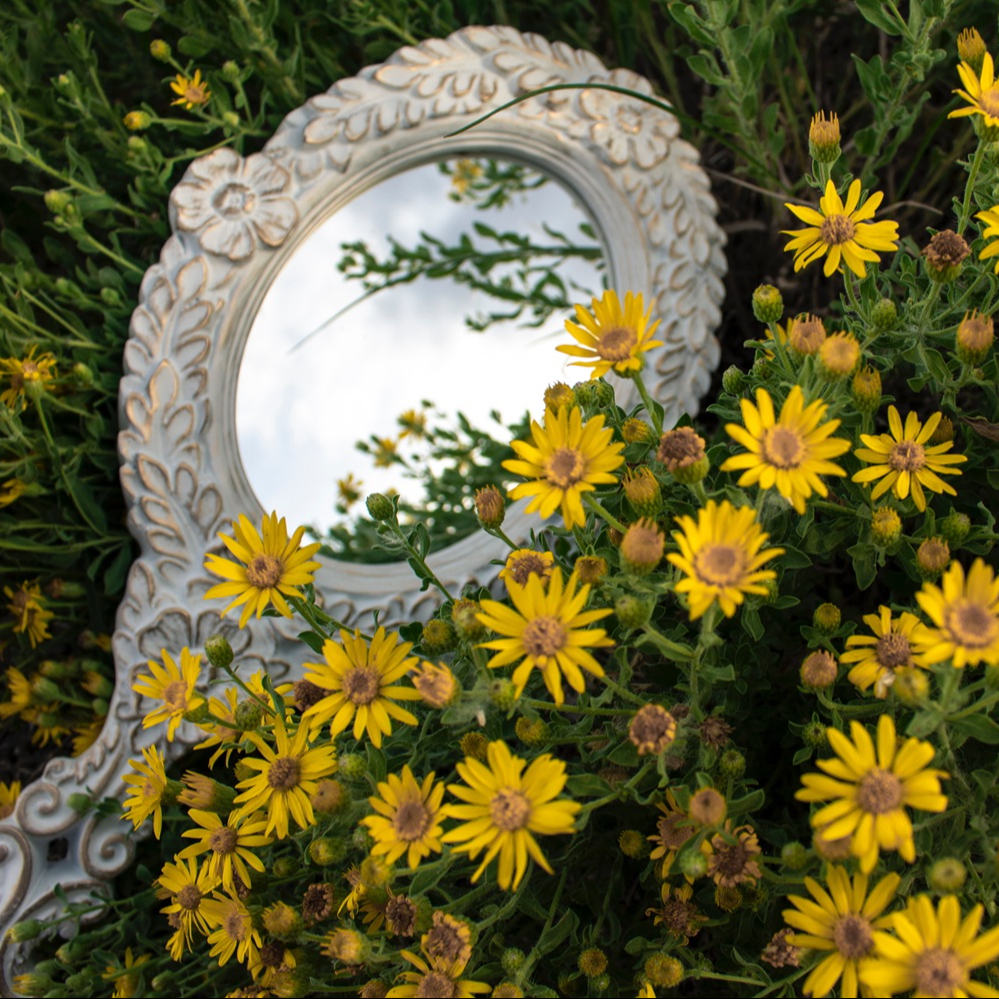 Programme "J'apprends à mieux me connaître"