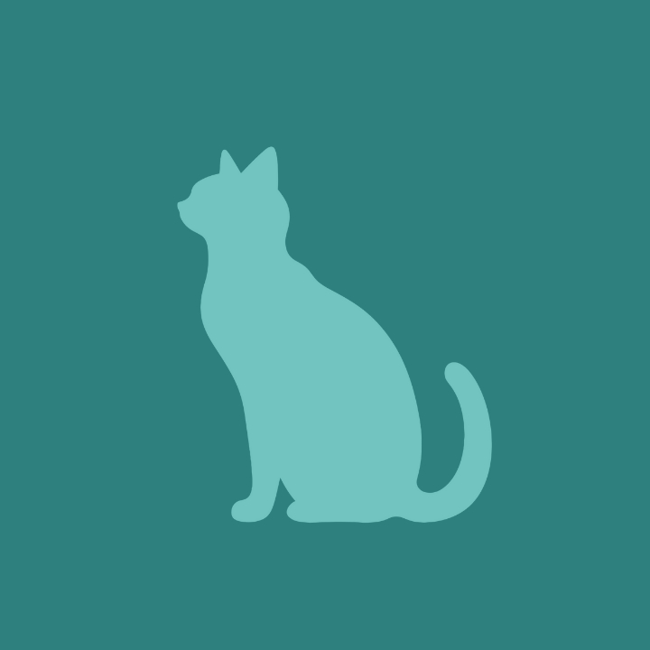 Chat - Ostéopathie à domicile