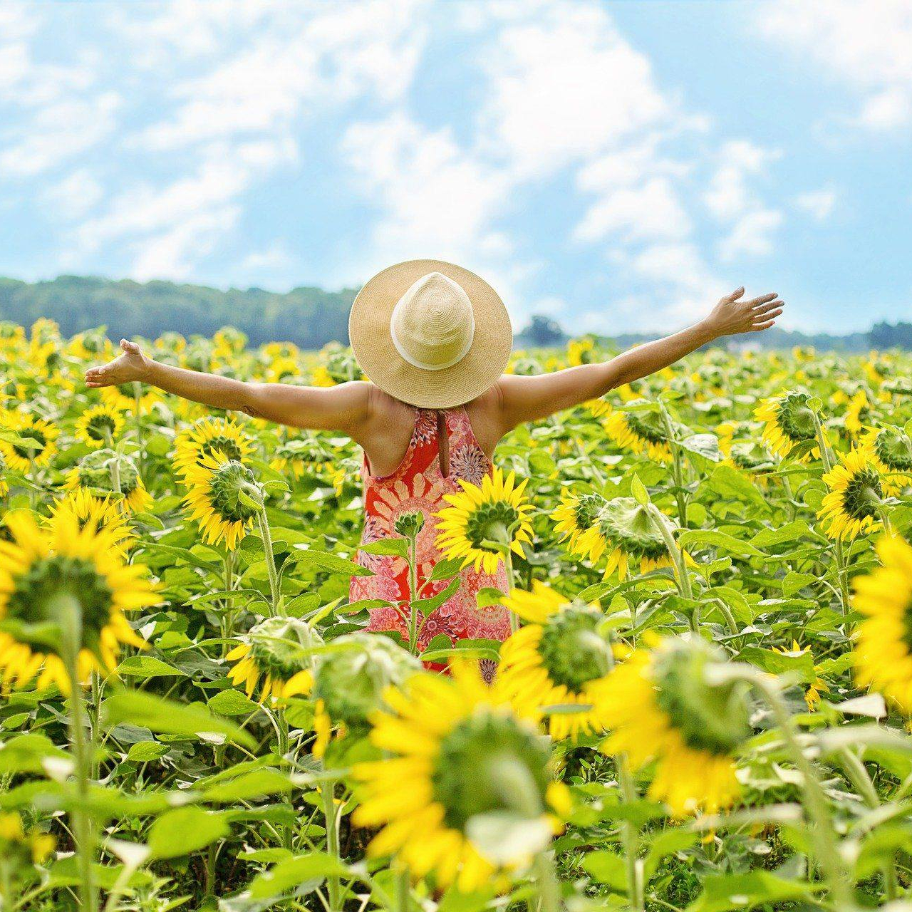 Retrouver vos parts d' énergies volées et/ou données  Couper les