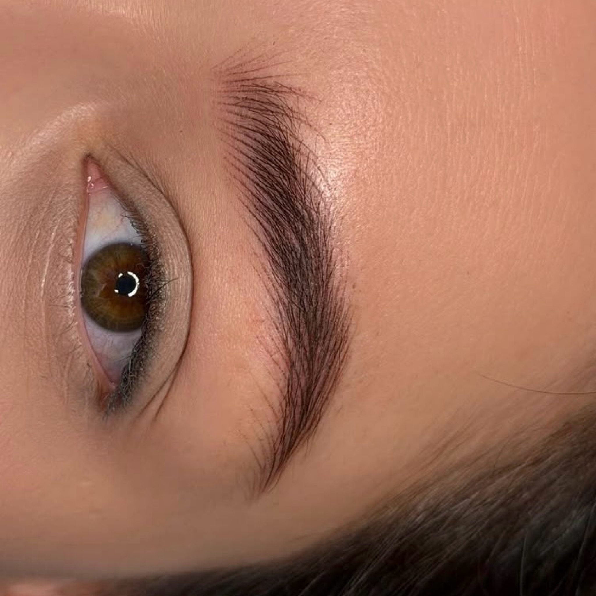 Tetovanie PMU HAIRSTROKES obočie ( kombinované obočie)