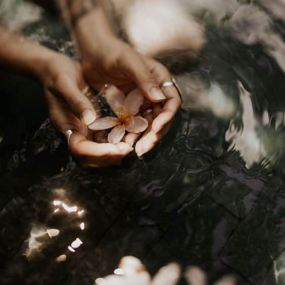 2 ENCUENTRO: ARIES - LA PUERTA DE LA VOLUNTAD Y LA INICIATIVA