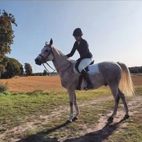 Ridlektion-inga stallsysslor