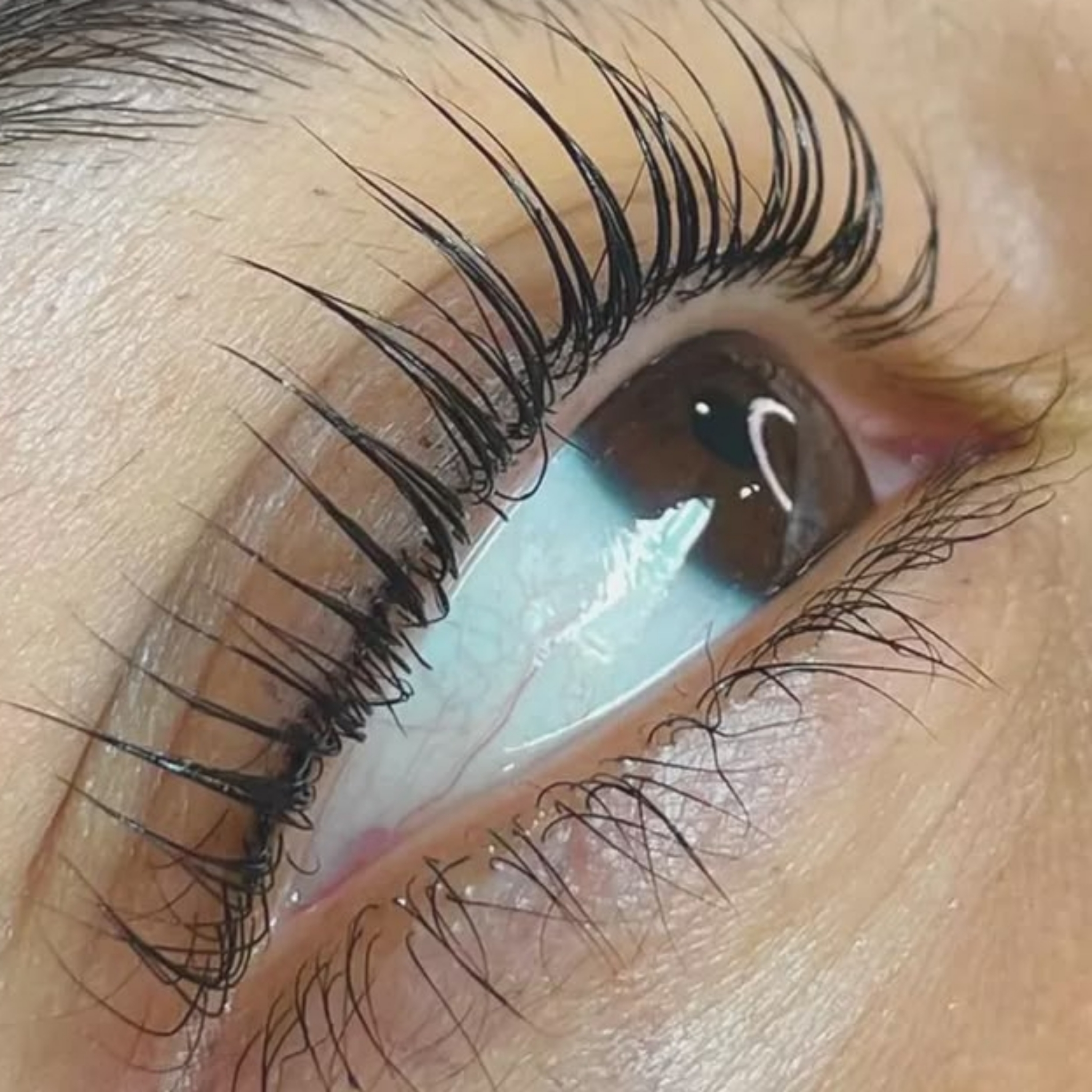 Lifting řas + Botox
