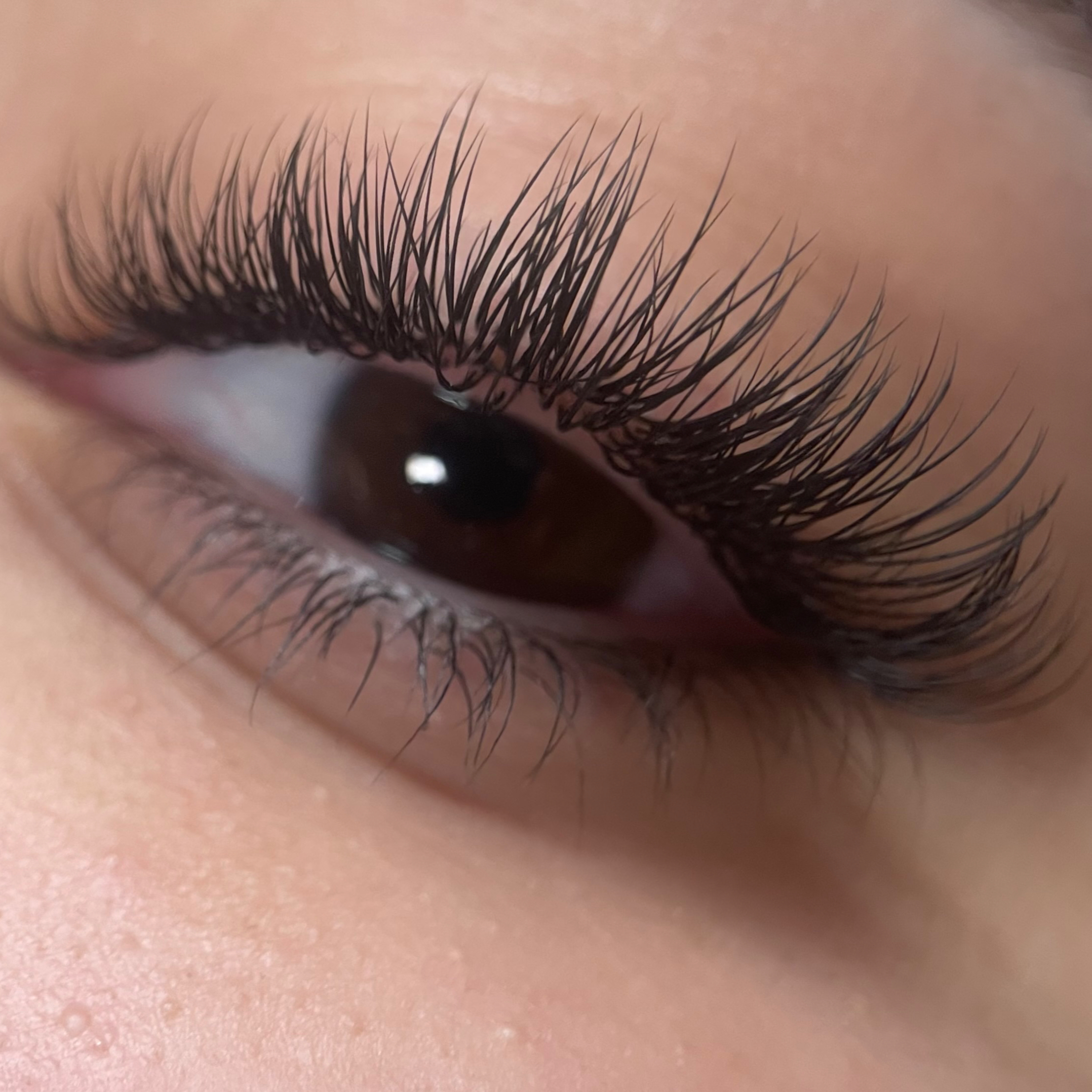 Pose Complète: Cil à Cil naturel