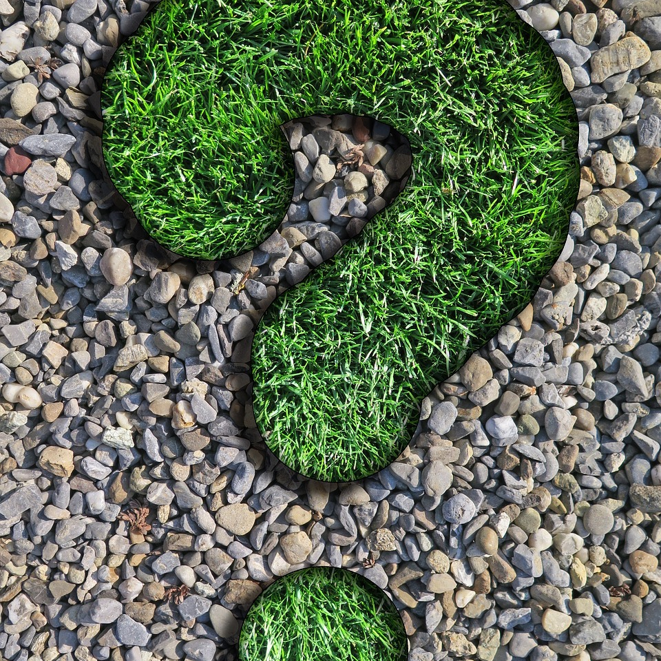 Rendez-vous téléphonique 15mn