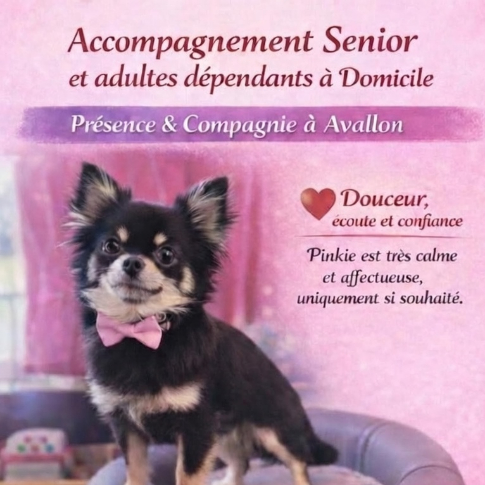 Accompagnement senior / aide à domicile