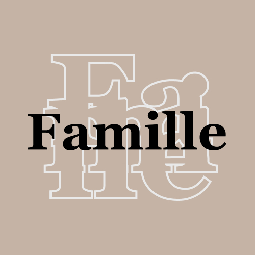 Séance 2 et suiv. - Famille, enfant et ado