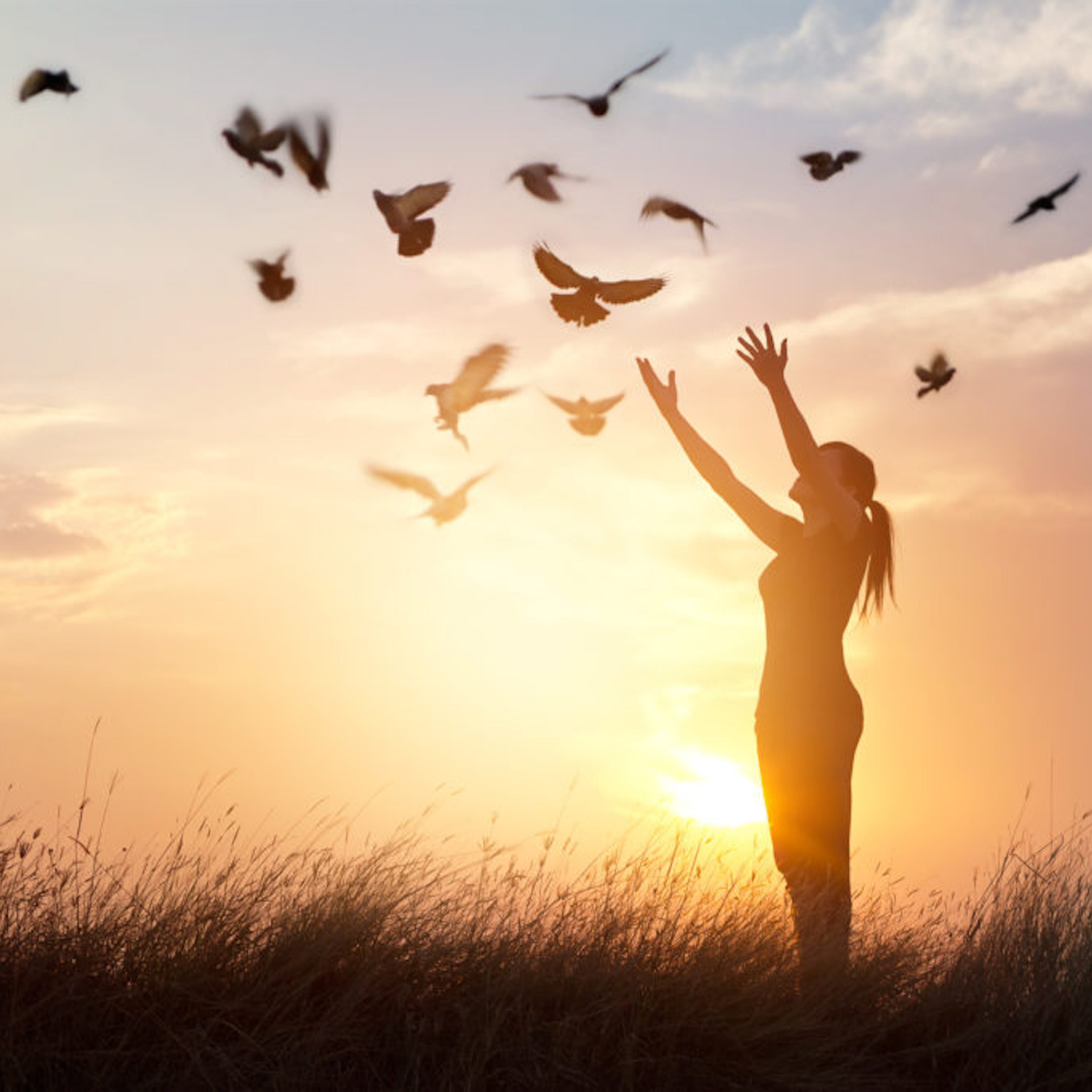 Accompagnement 6H Le Soin du Vivant® PARIS (2 à 3 mois)