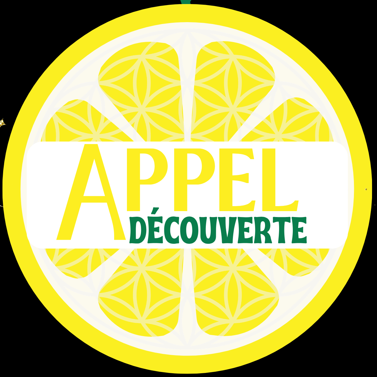 Appel découverte 20 min