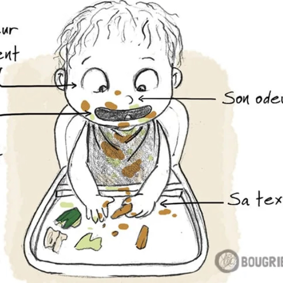 DME diversification alimentaire