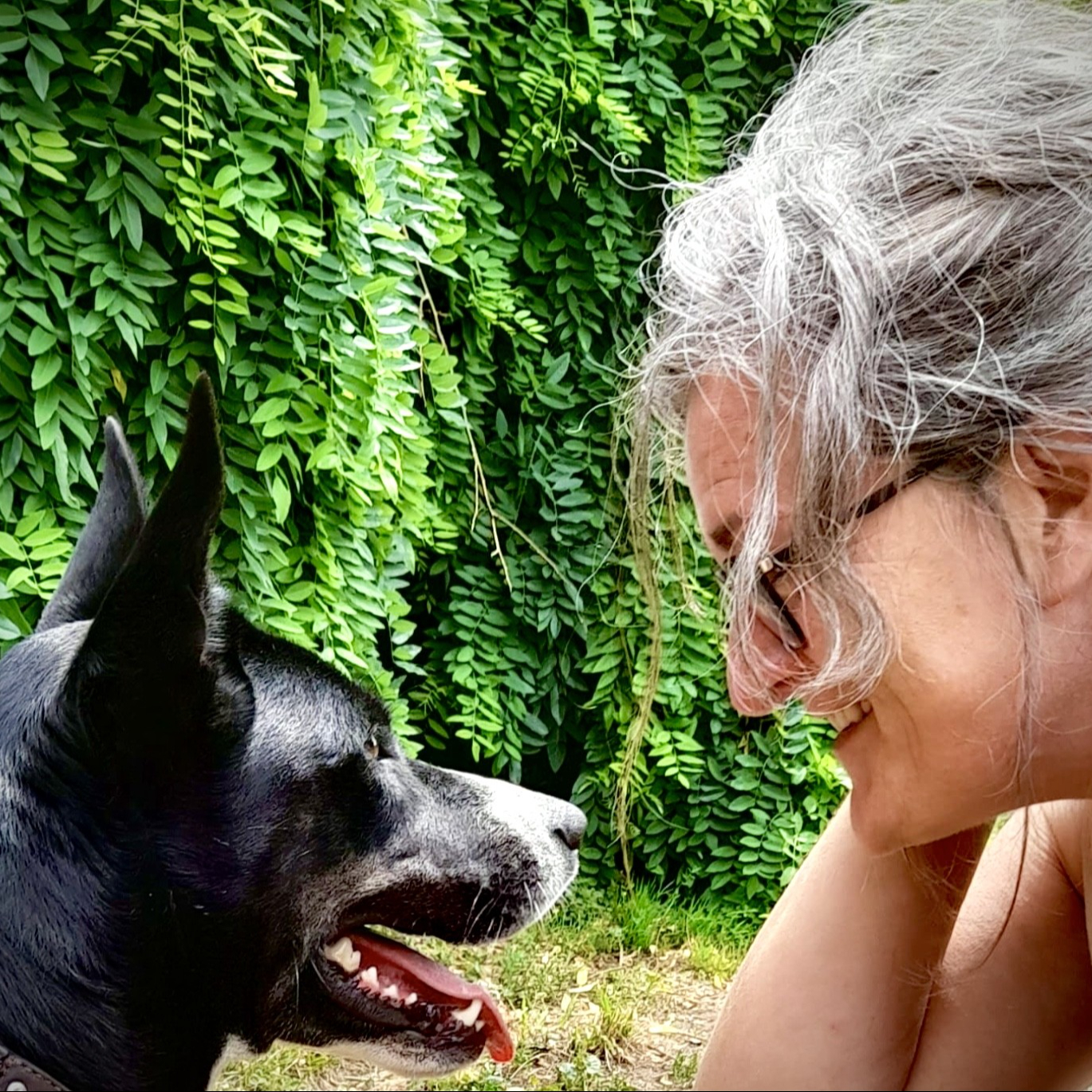 Ton animal t'ouvre la voie (communication animale)