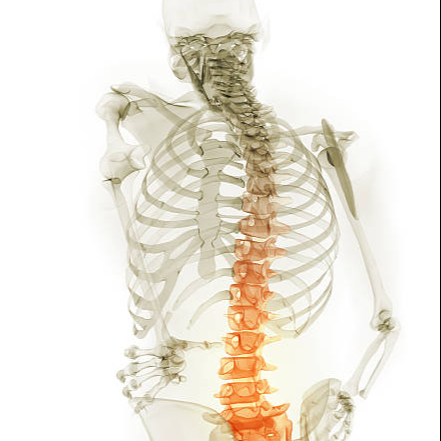Réflexologie cranio-sacré