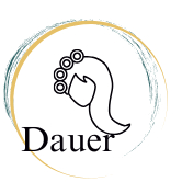 Dauer Wella Wave