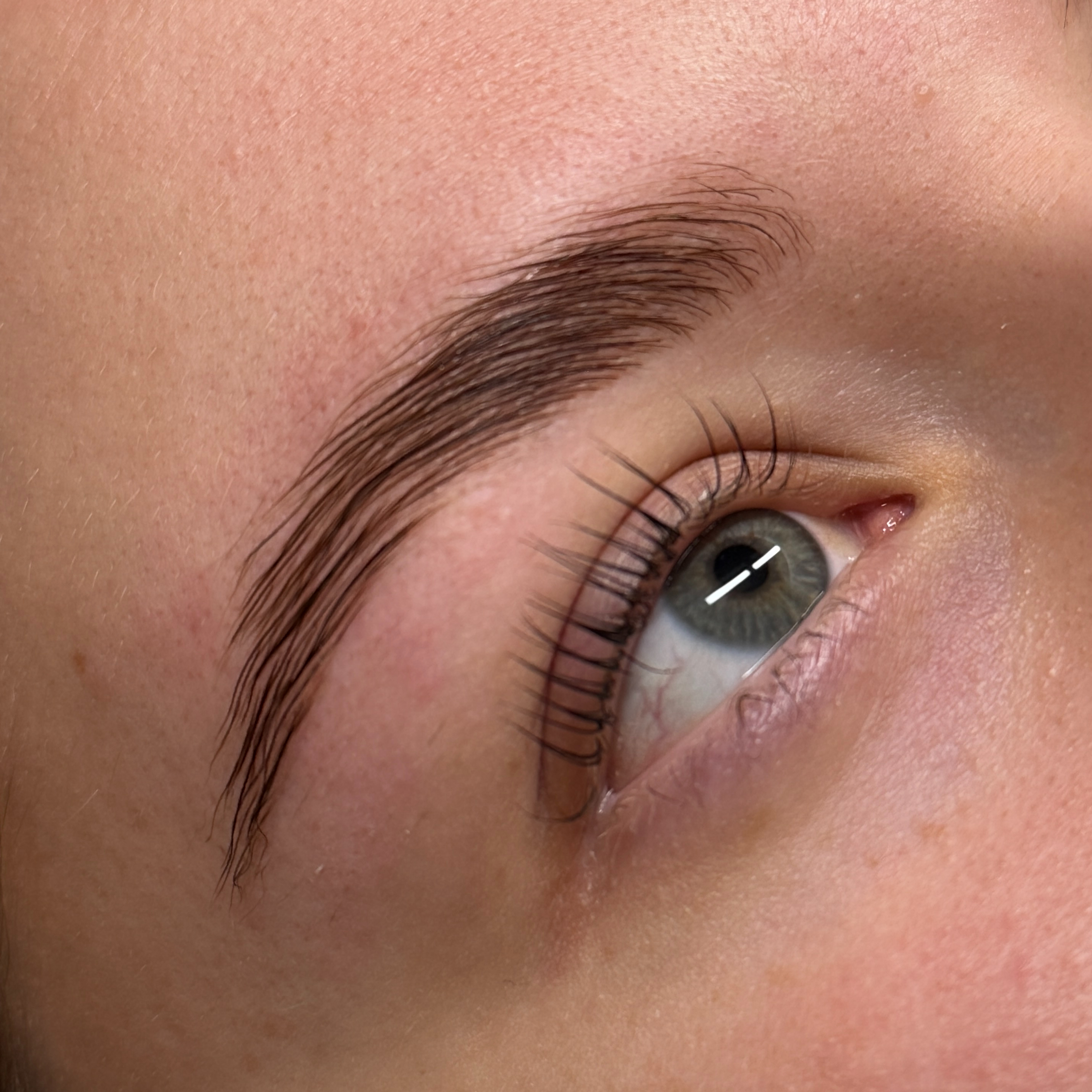 NOVINKA | Korean Laminace obočí