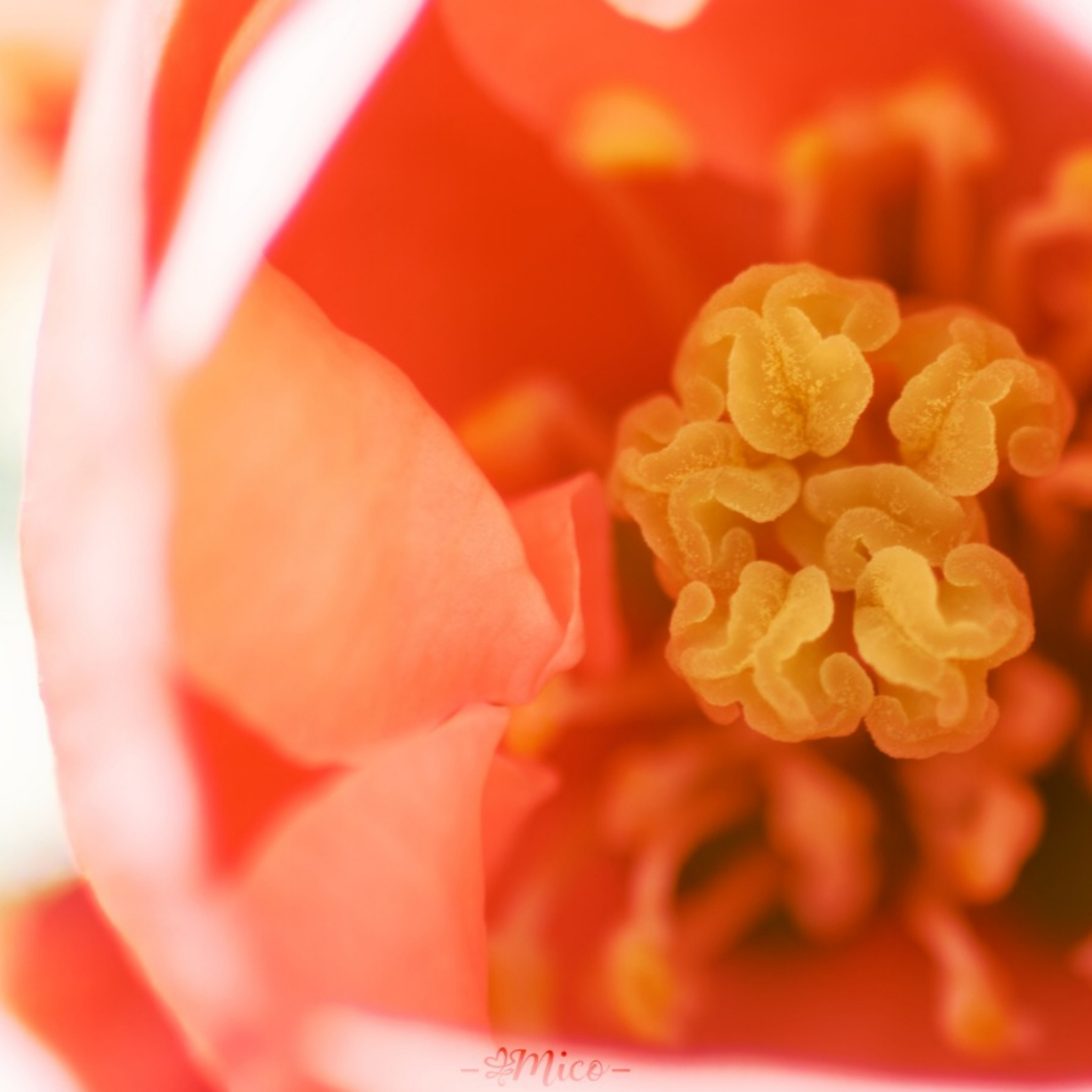 Première séance de Neuro-Training