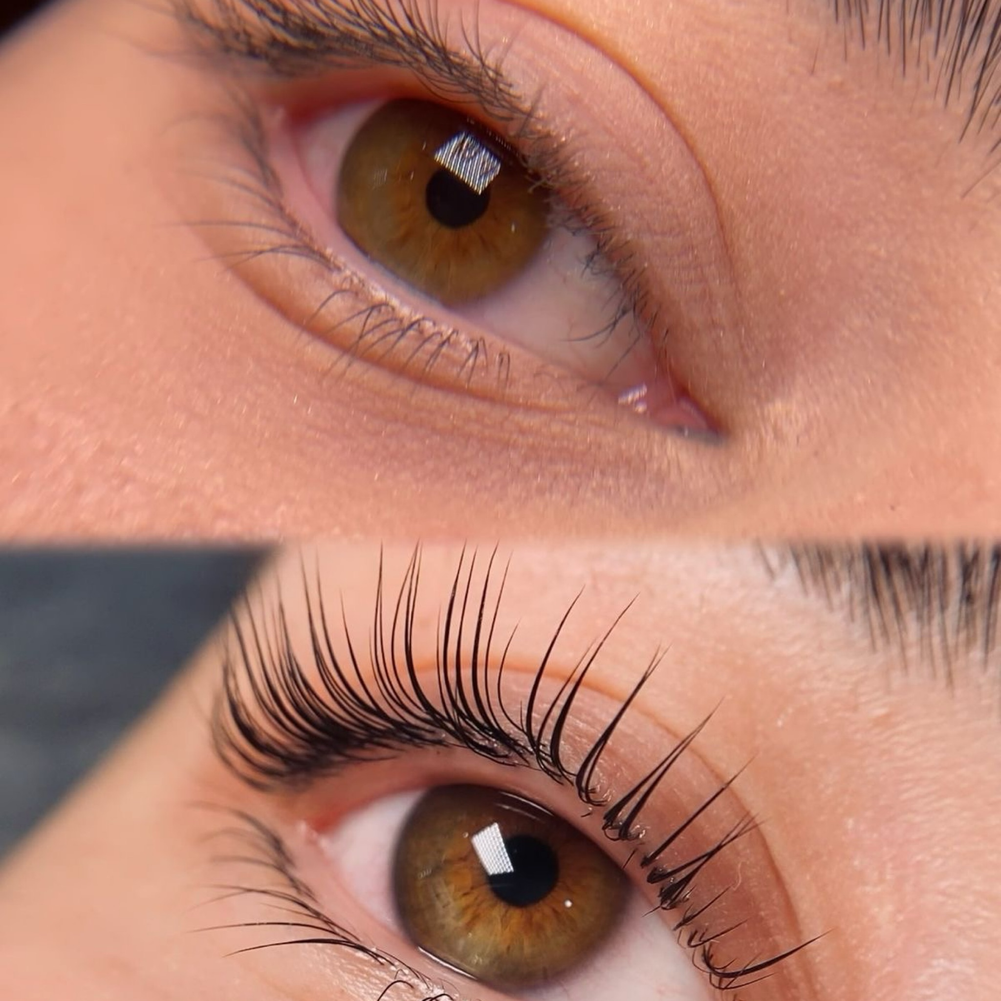 Lash Lift Coréen & teinture