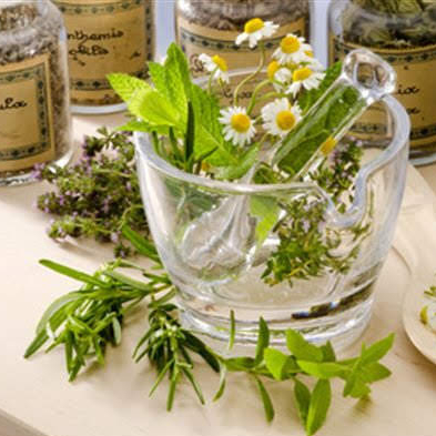 Téléconsultation de Phyto-Aromathérapie en appel visio