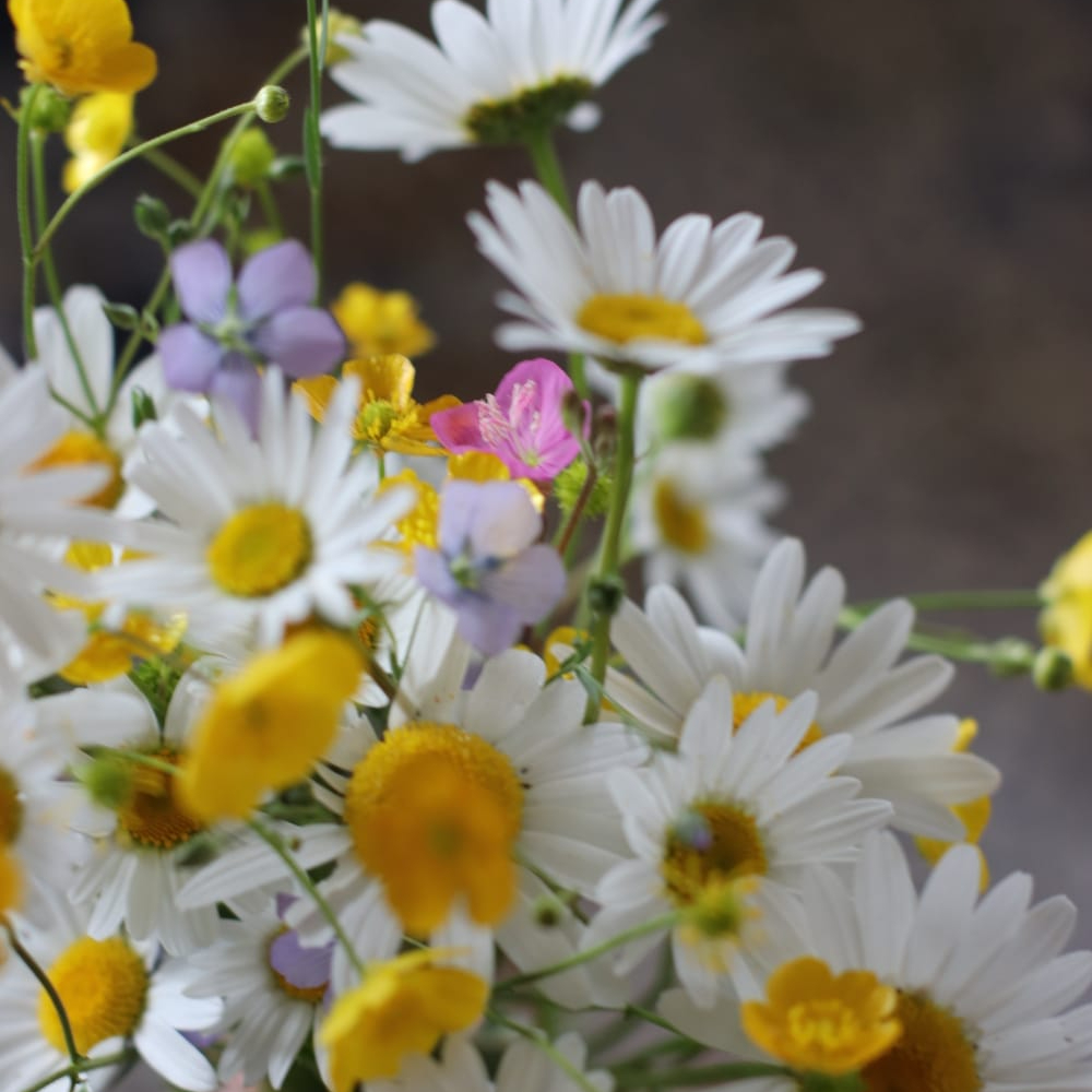Printemps - Rituel de saison - massage au sol 1h45