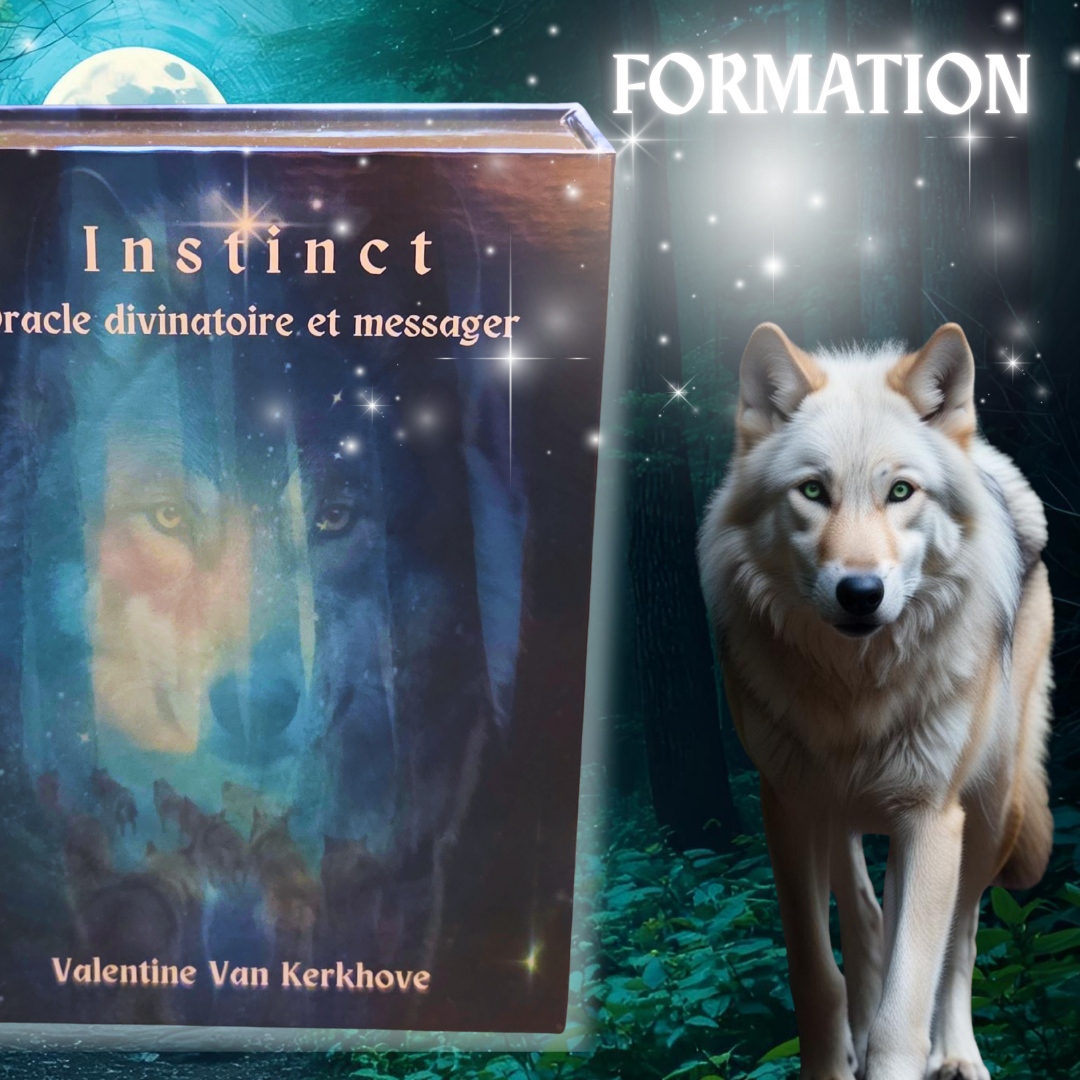 Formation à l'utilisation de l'oracle Instinct en Novembre