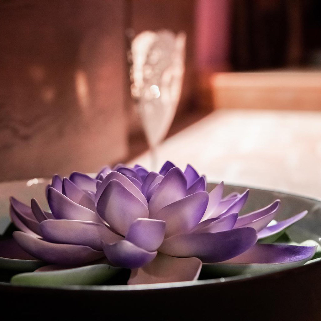 Siam Paradise (120 min)