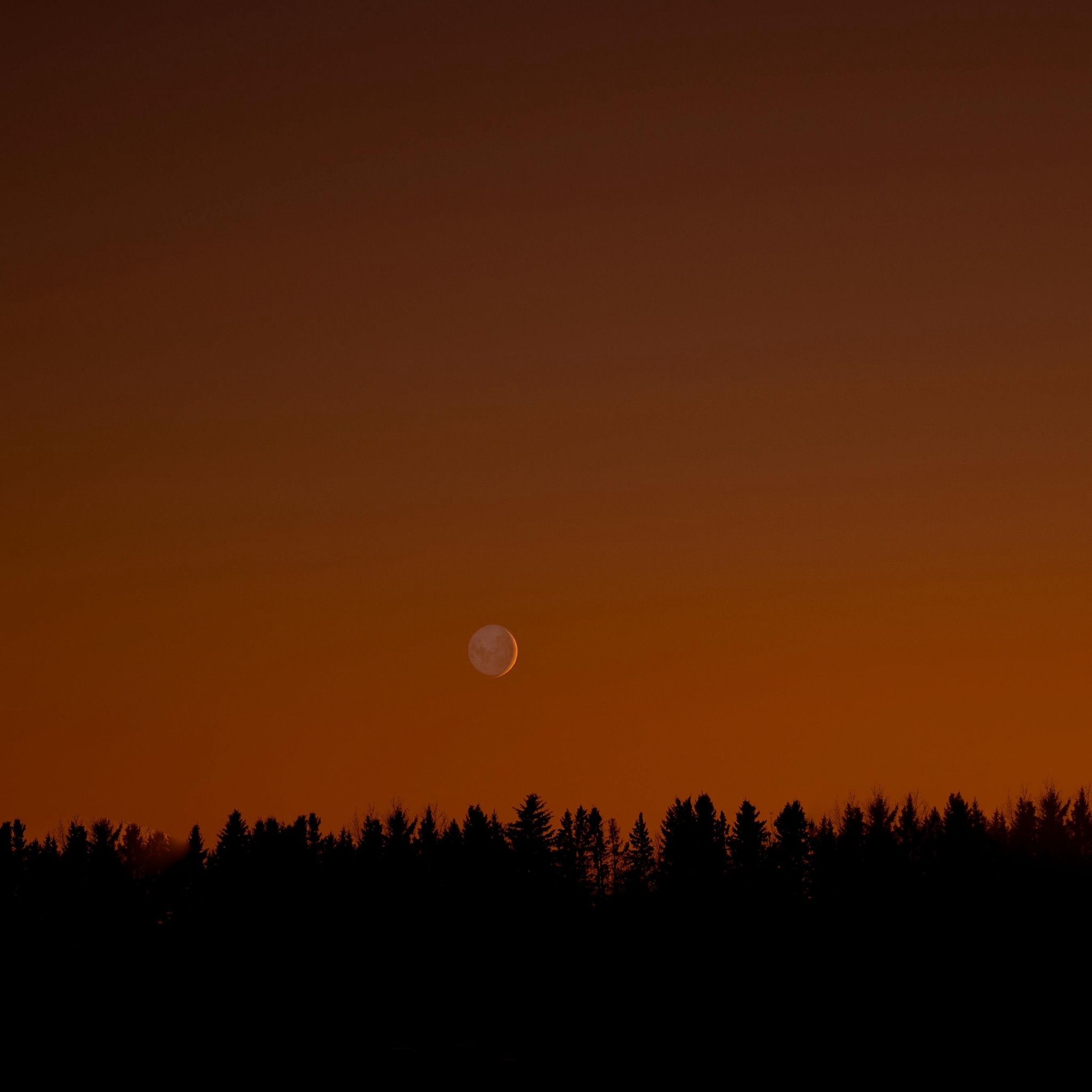 •Progresión Solar (Lectura de tránsitos anuales)