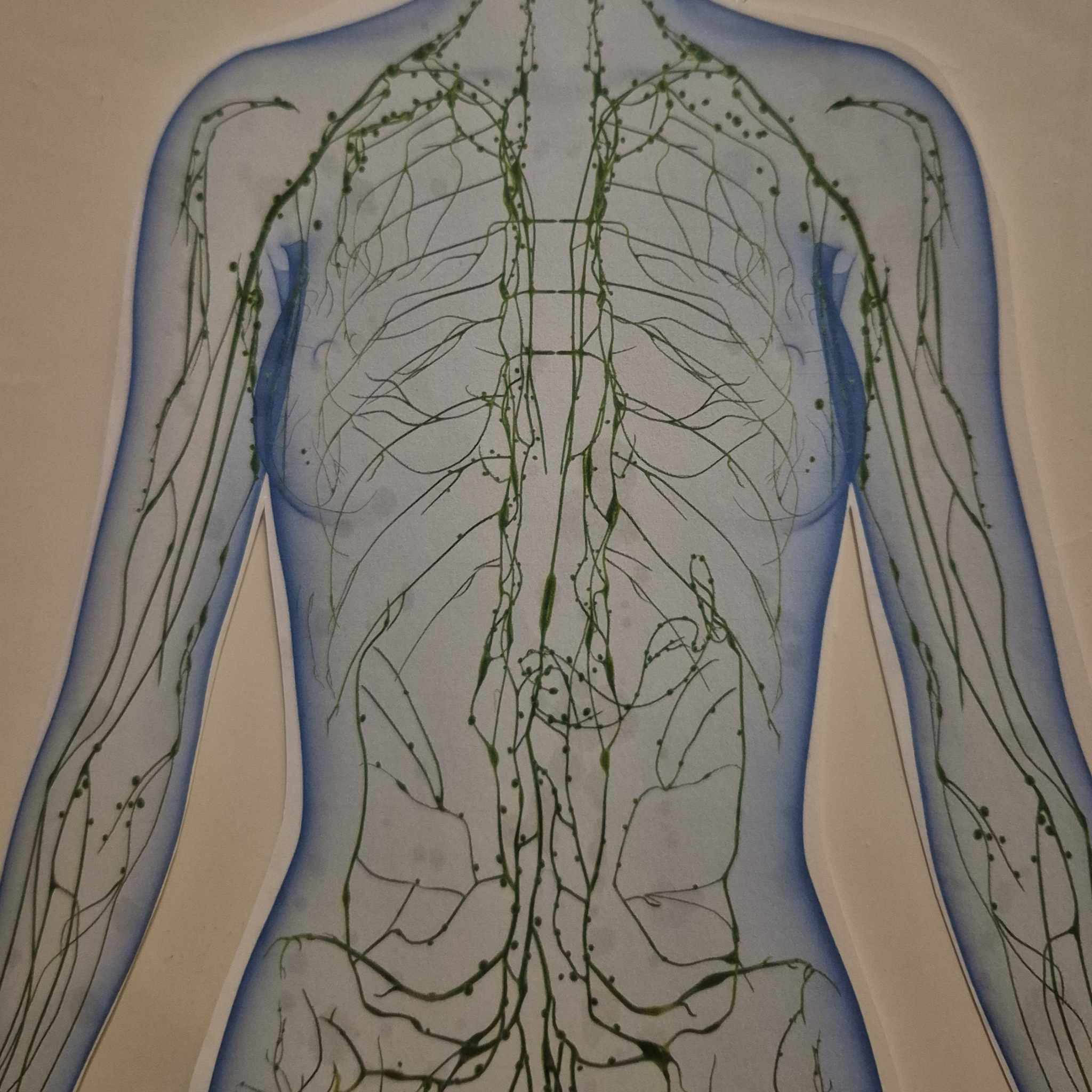 Ayurvèda masszàzs forró bio olajjal.