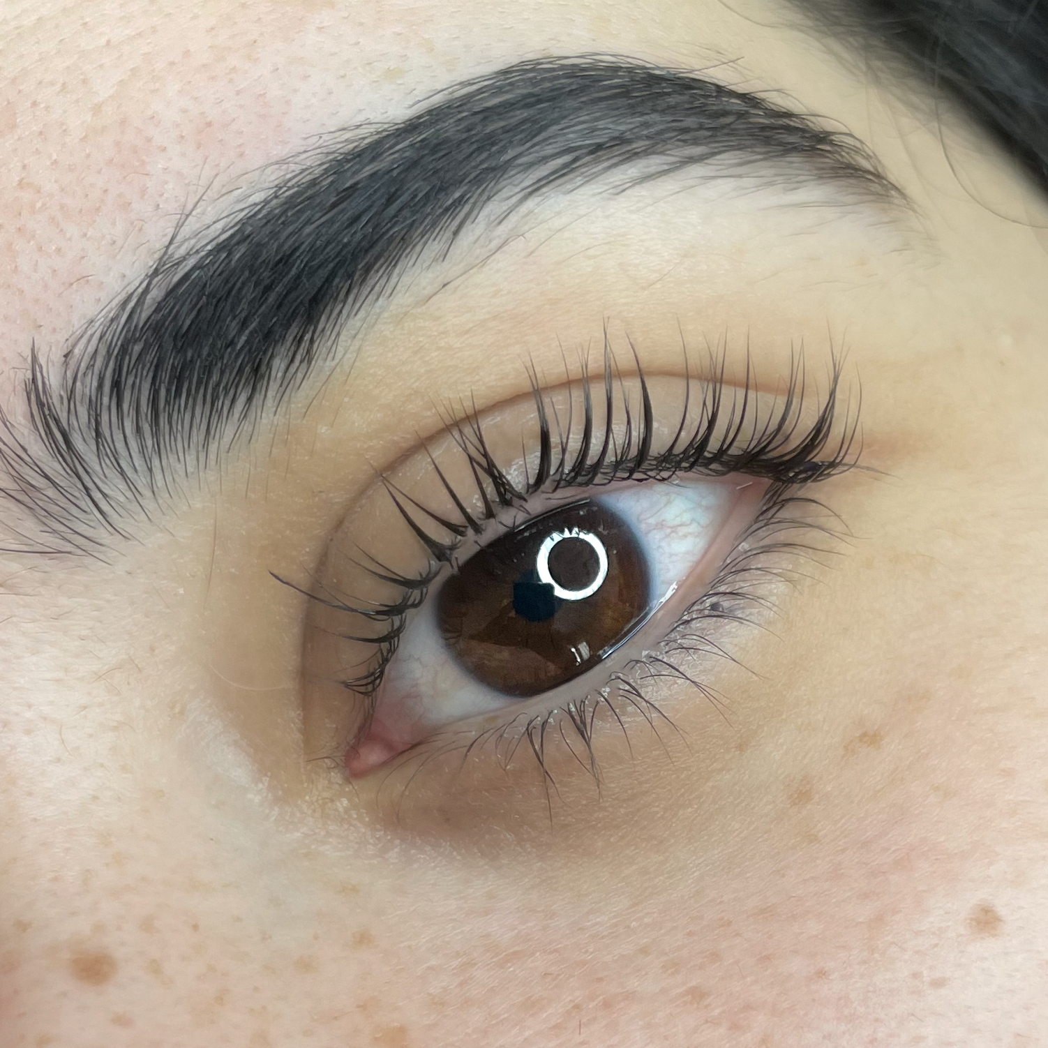 Rehaussement de cils (soin lashbotox inclus)