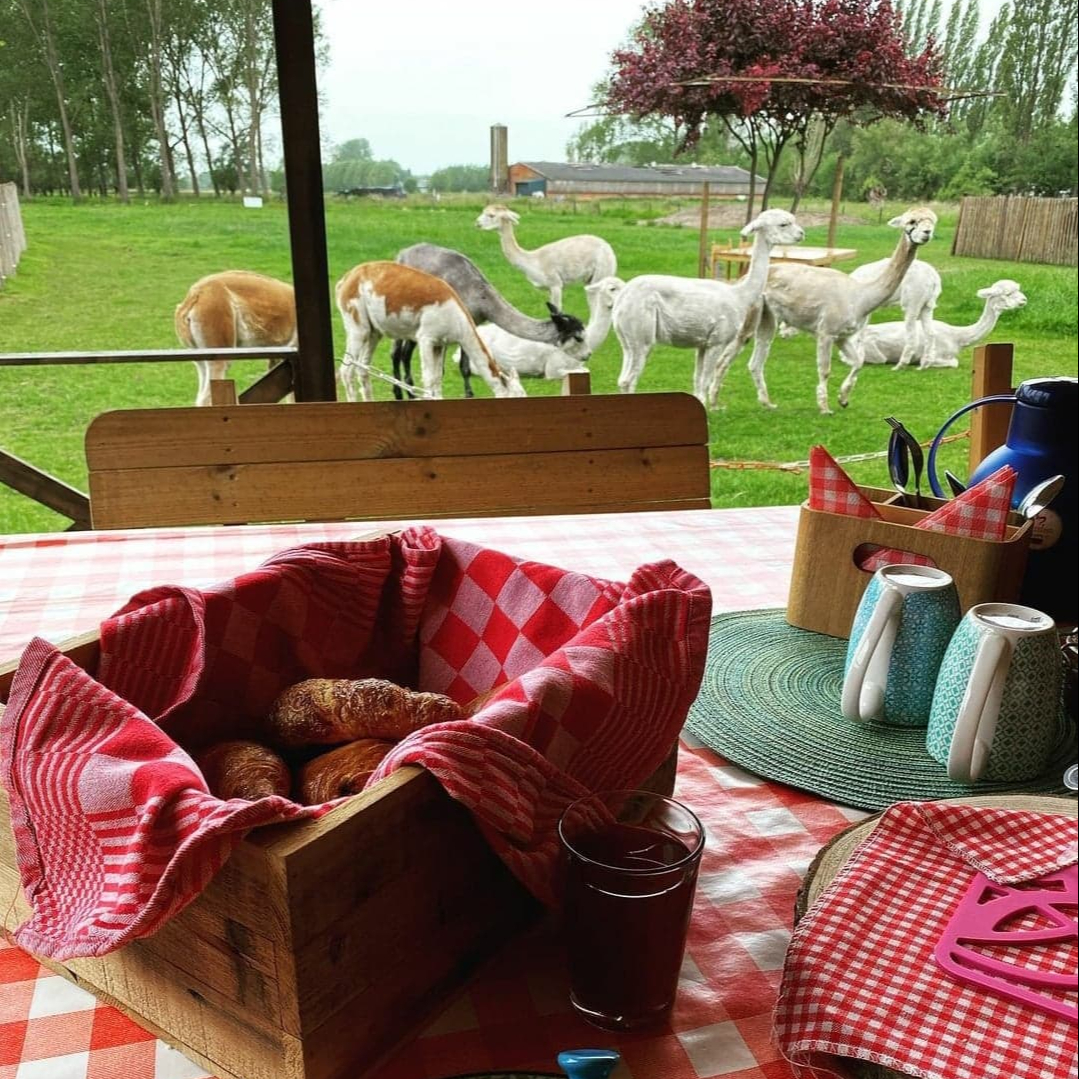 Basis ontbijt ( max 12 personen)