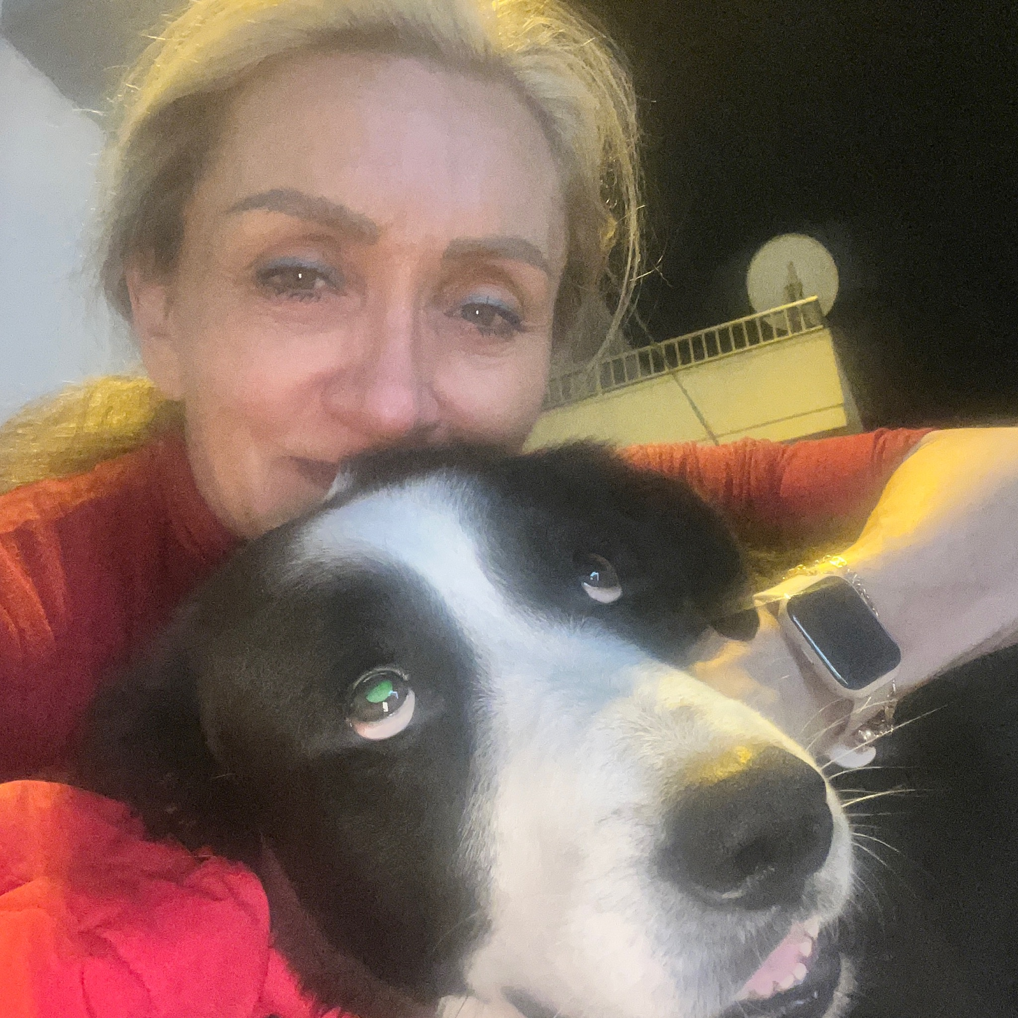 Prima consulenza veterinaria Casuzze