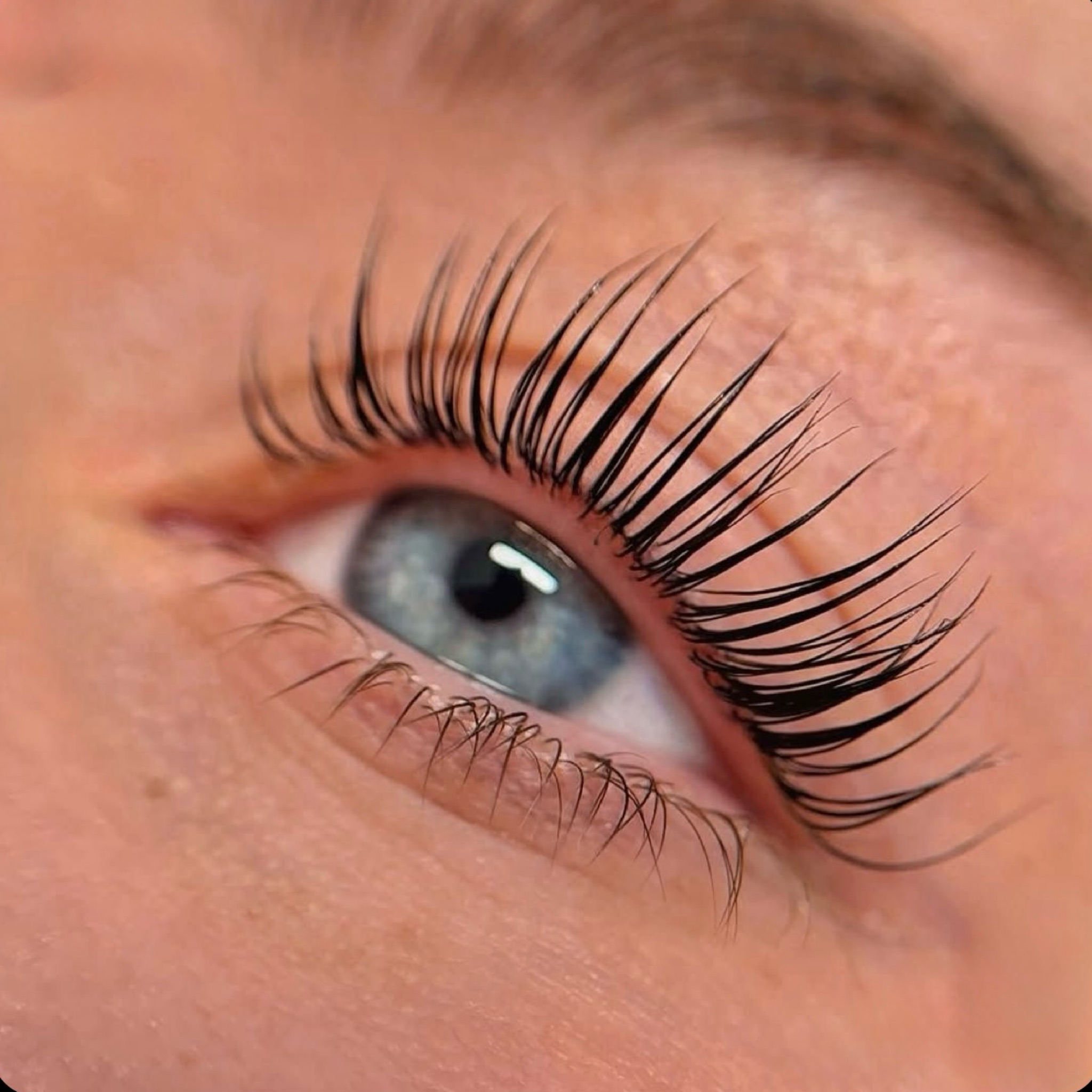 lashlifting