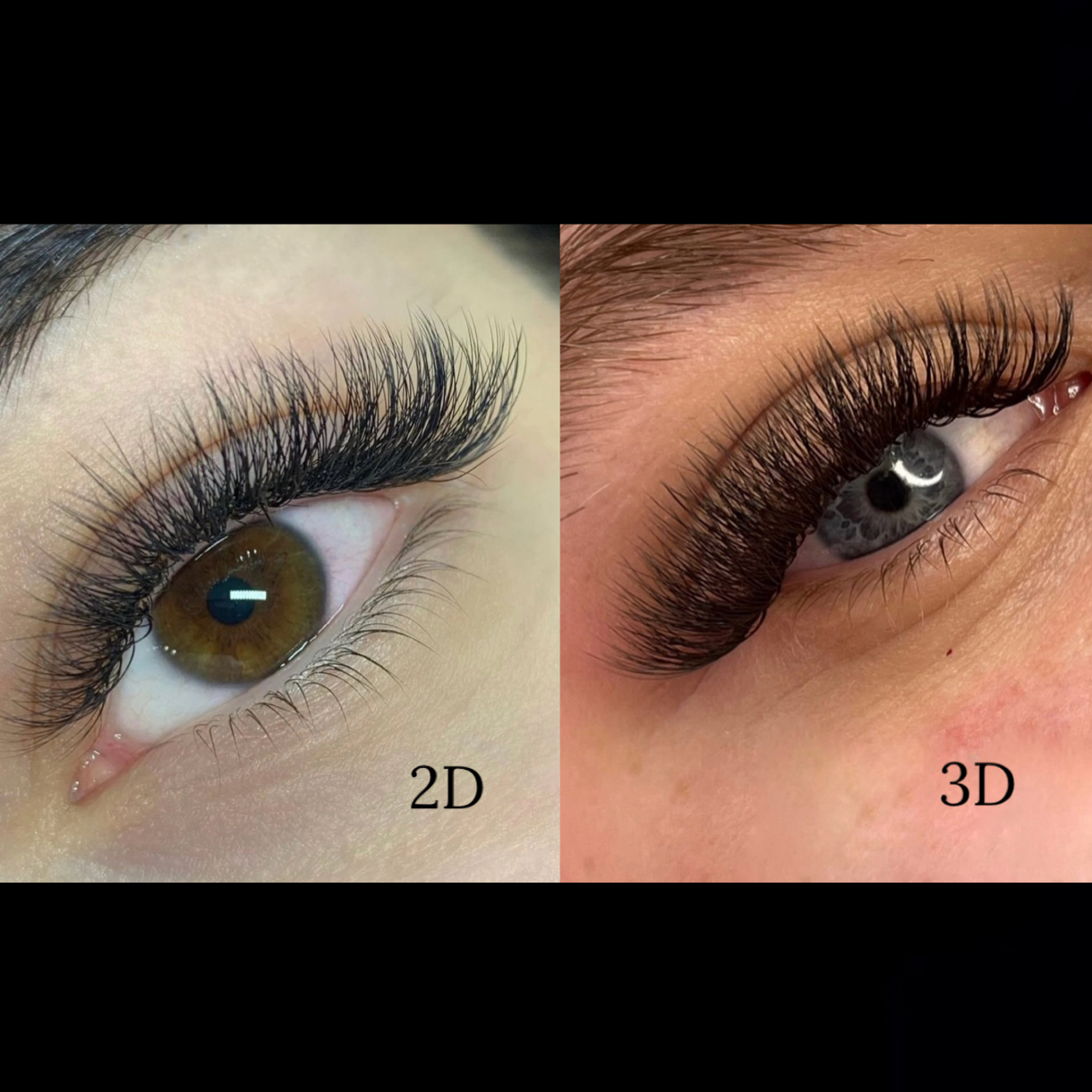 Doll, Biche, Cat, Mouillé (2D-3D)