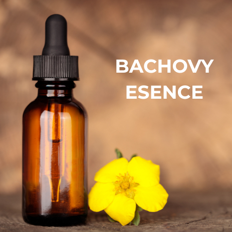 Bachovy esence - následná konzultace