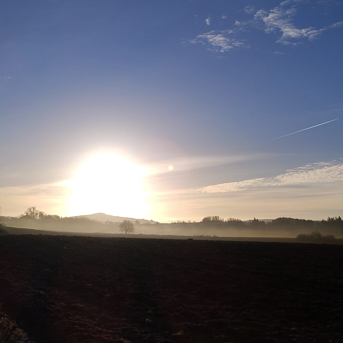 KRIZOVÁ INTERVENCE (face to face)