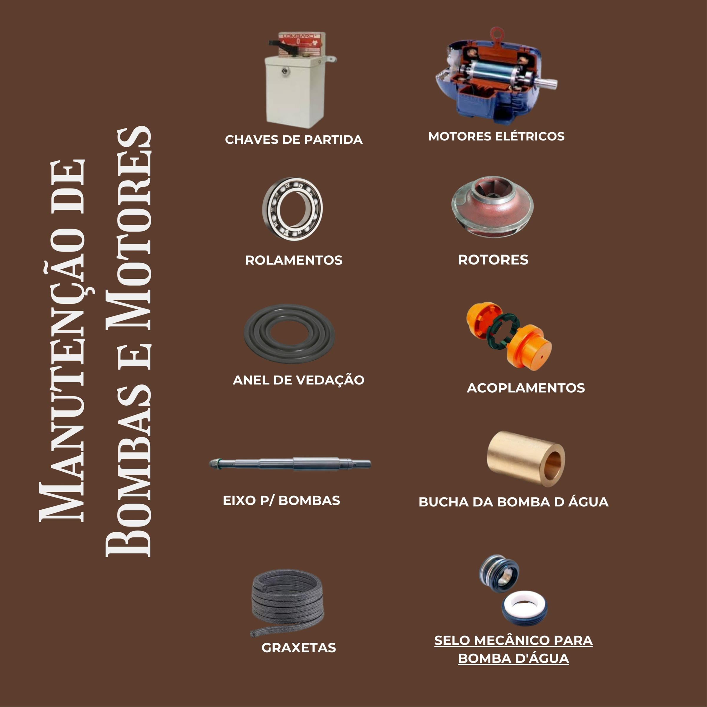 Manutenção de Motores e Bombas de Médio e Grande Porte