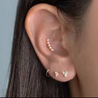 Conch