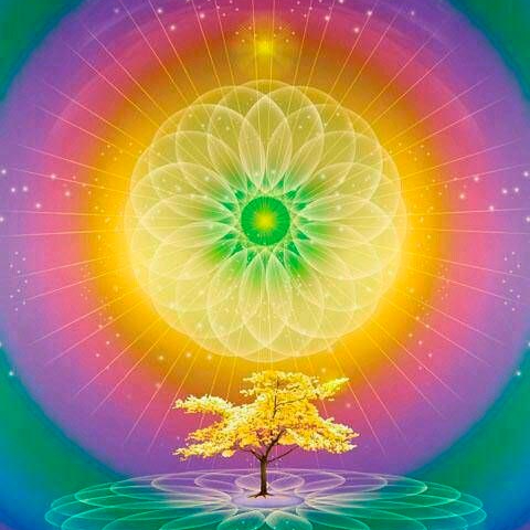 Tratamento Transcendental