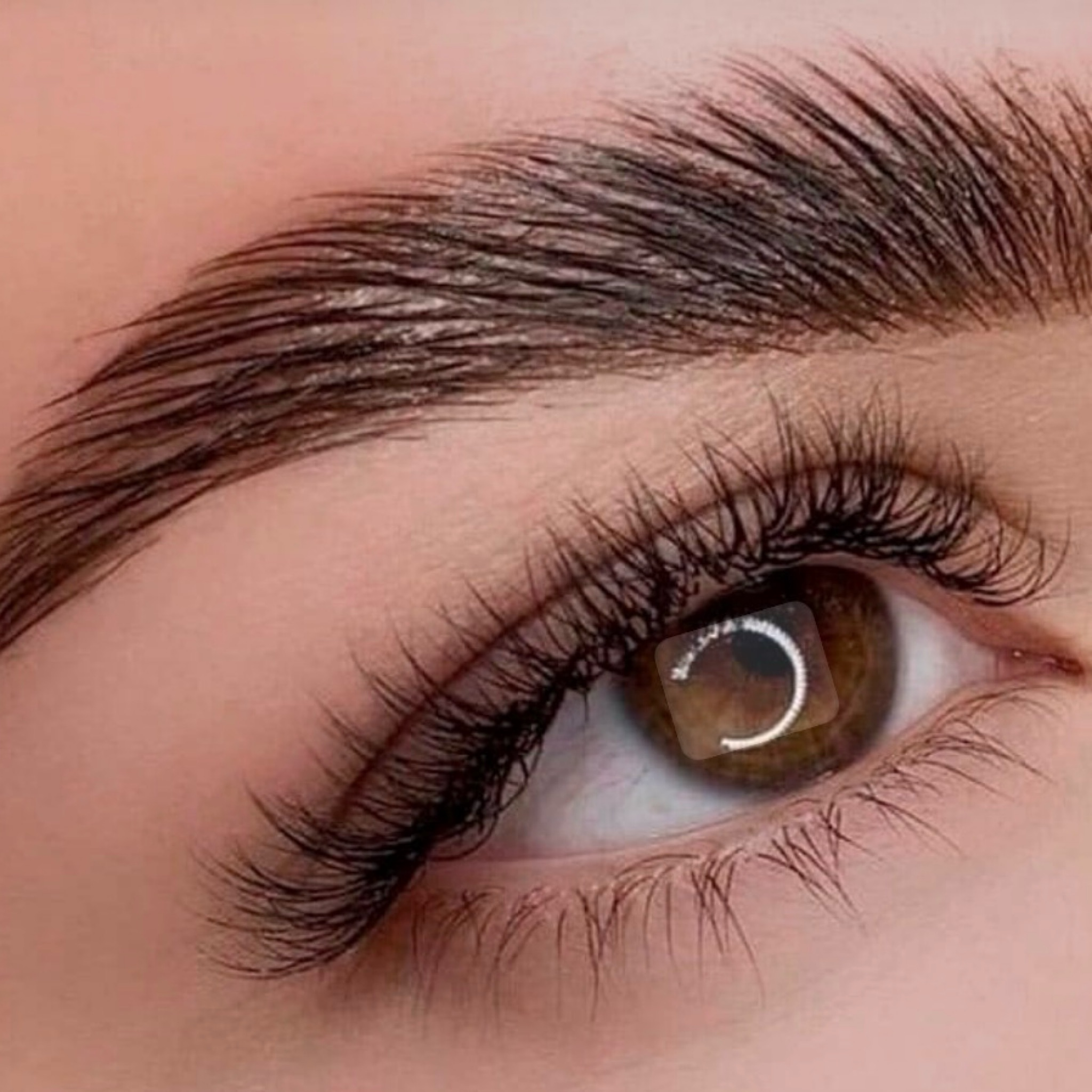 Laminado de cejas