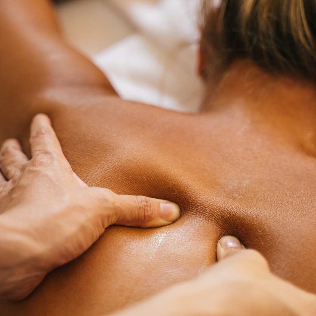 Carte Cadeau - Dorsale