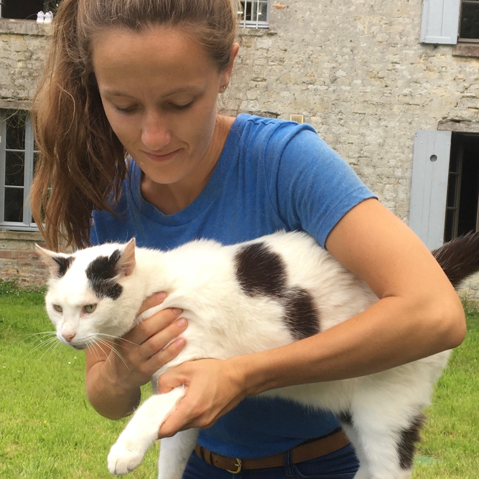 Consultation d'ostéopathie Féline au cabinet de Ducey