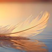 Animaux ✨Soin Guérisseur Chamanique ✨